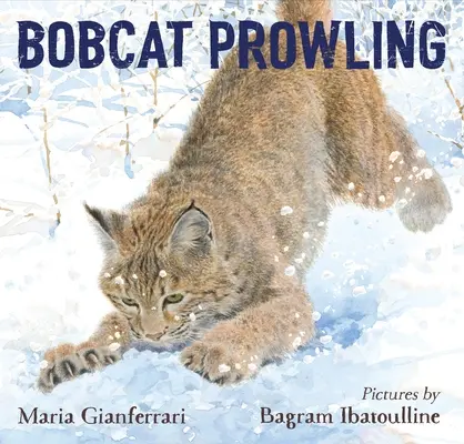 Le rôdeur Bobcat - Bobcat Prowling