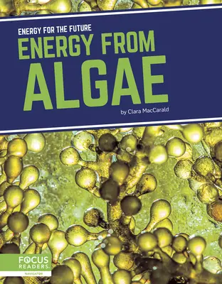 L'énergie des algues - Energy from Algae