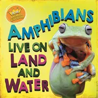 Dans le règne animal : Les amphibiens vivent sur terre et dans l'eau - In the Animal Kingdom: Amphibians Live on Land and in Water