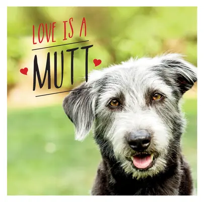 L'amour est un cabot : Une célébration canine des races mixtes et croisées les plus mignonnes du monde - Love Is a Mutt: A Dog-Tastic Celebration of the World's Cutest Mixed and Cross Breeds