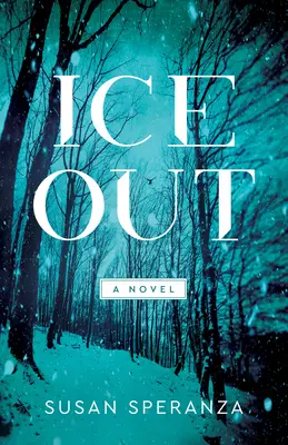 La glace - Ice Out