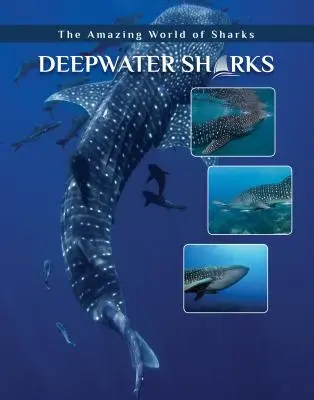 Requins des profondeurs - Deepwater Sharks