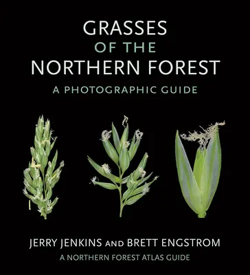 Graminées de la forêt septentrionale : Guide photographique - Grasses of the Northern Forest: A Photographic Guide