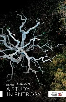 Une étude de l'entropie - A Study in Entropy