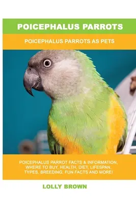 Les perroquets de Poicephalus : Les perroquets de Poicephalus en tant qu'animaux de compagnie - Poicephalus Parrots: Poicephalus Parrots As Pets