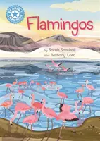 Champion de la lecture : Flamants - Lecture indépendante de non-fiction Bleu 4 - Reading Champion: Flamingos - Independent Reading Non-Fiction Blue 4