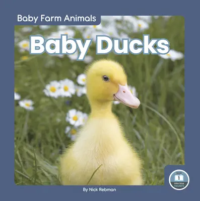 Bébés canards - Baby Ducks