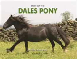 L'esprit du poney des Dales - Spirit of the Dales Pony