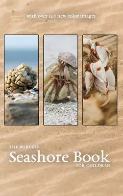 Le livre de Burgess sur le bord de mer avec de nouvelles images en couleur - The Burgess Seashore Book with new color images