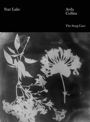 Le lac des étoiles - Star Lake