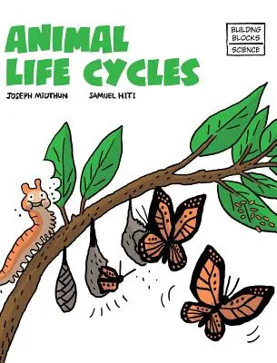 Les cycles de vie des animaux - Animal Life Cycles