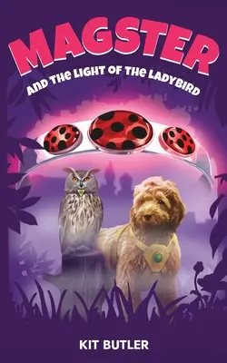 Magster et la lumière de la coccinelle - Magster and the Light of the Ladybird