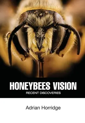 La vision des abeilles : Découvertes récentes - Honeybees Vision: Recent Discoveries