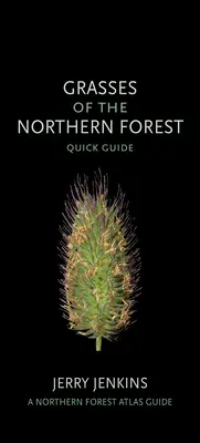 Graminées de la forêt septentrionale : Guide rapide - Grasses of the Northern Forest: Quick Guide