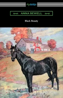 Beauté noire - Black Beauty