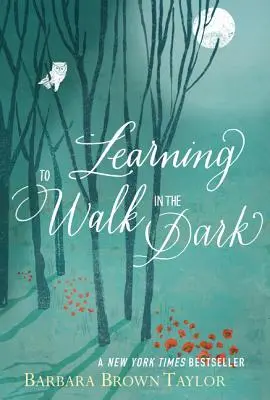 Apprendre à marcher dans l'obscurité : Parce que parfois Dieu se montre la nuit - Learning to Walk in the Dark: Because Sometimes God Shows Up at Night