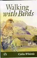 Marcher avec les oiseaux - Une exploration de la faune et du paysage d'une vallée de Cumbria - Walking with Birds - An Exploration of Wildlife and Landscape of a Cumbrian Valley