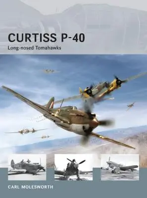 Curtiss P-40 : Tomahawks à long nez - Curtiss P-40: Long-Nosed Tomahawks
