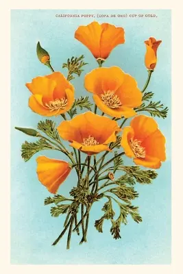 Journal d'époque Coquelicots de Californie - Vintage Journal California Poppies