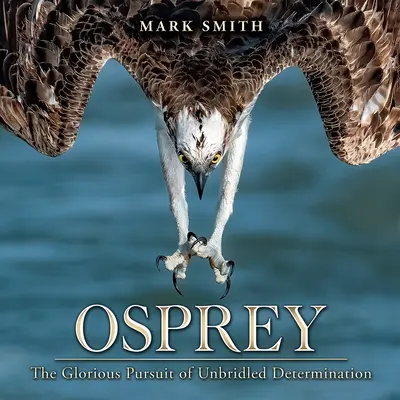 Osprey : La glorieuse poursuite d'une détermination sans bornes - Osprey: The Glorious Pursuit of Unbridled Determination