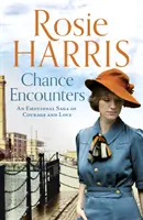 Chance Encounters - Une saga émotionnelle de courage et d'amour - Chance Encounters - An emotional saga of courage and love