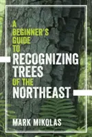 Guide de reconnaissance des arbres du nord-est à l'usage des débutants - A Beginner's Guide to Recognizing Trees of the Northeast