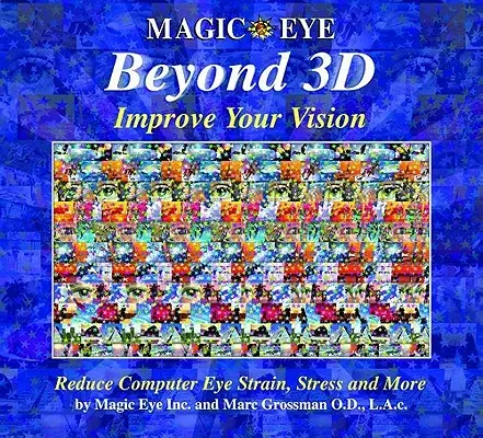 L'oeil magique au-delà de la 3D : Améliorez votre vision, 6 - Magic Eye Beyond 3d: Improve Your Vision, 6