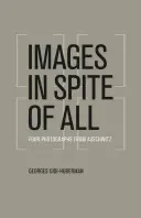 Des images malgré tout : Quatre photographies d'Auschwitz - Images in Spite of All: Four Photographs from Auschwitz