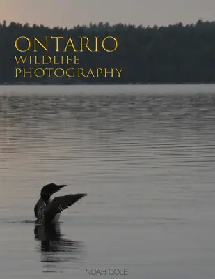 Photographie de la faune de l'Ontario - Ontario Wildlife Photography