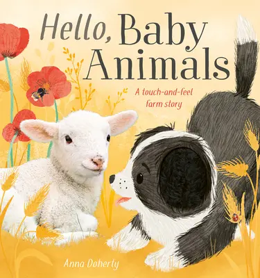 Jouer à la ferme : Un livre d'histoires sur les bébés animaux à toucher et à sentir - Playtime on the Farm: A Touch-And-Feel Baby Animal Storybook