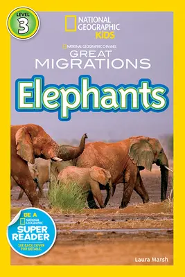 Éléphants - Elephants