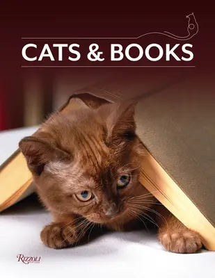 Chats et livres - Cats & Books