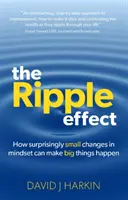 Effet d'entraînement - Comment des changements d'état d'esprit étonnamment petits peuvent entraîner de grandes choses - Ripple Effect - How surprisingly small changes in mindset can make big things happen