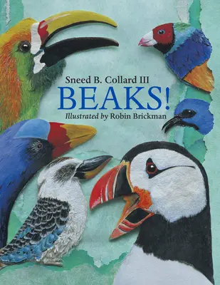 Les becs ! - Beaks!