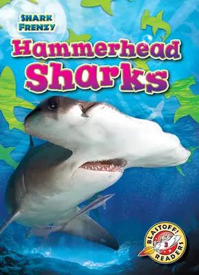 Requin marteau - Hammerhead Sharks