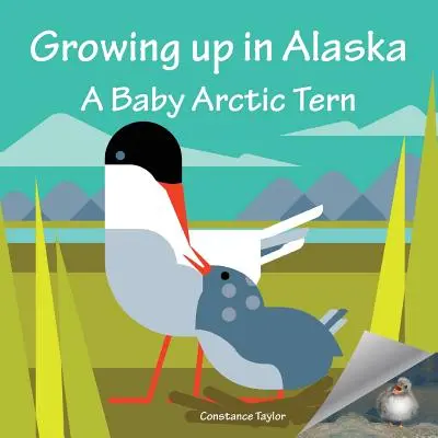 Grandir en Alaska : Un bébé sterne arctique - Growing up in Alaska: A Baby Arctic Tern