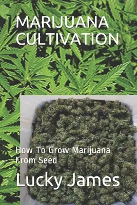Culture de la marijuana : Comment cultiver de la marijuana à partir de graines - Marijuana Cultivation: How To Grow Marijuana From Seed
