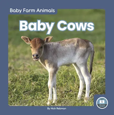 Bébés vaches - Baby Cows