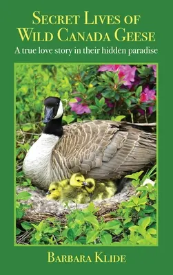 Les vies secrètes des bernaches sauvages du Canada : Une véritable histoire d'amour dans leur paradis caché - Secret Lives of Wild Canada Geese: A true love story in their hidden paradise