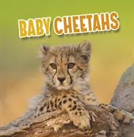 Bébés guépards - Baby Cheetahs