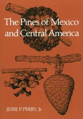 Les pins du Mexique et de l'Amérique centrale - The Pines of Mexico and Central America