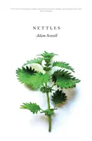 Les orties - Nettles