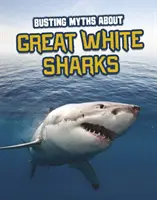 Briser les mythes sur les grands requins blancs - Busting Myths About Great White Sharks