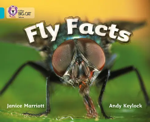 Faits sur les mouches - Fly Facts