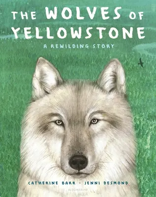 Les loups de Yellowstone : L'histoire d'un réensauvagement - The Wolves of Yellowstone: A Rewilding Story