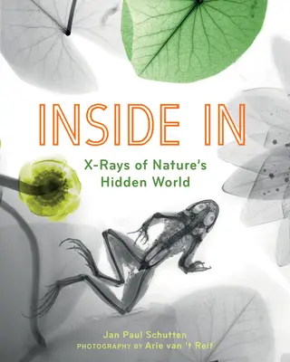 À l'intérieur : Les rayons X du monde caché de la nature - Inside in: X-Rays of Nature's Hidden World