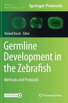 Développement de la lignée germinale chez le poisson zèbre : Méthodes et protocoles - Germline Development in the Zebrafish: Methods and Protocols