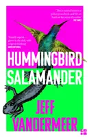 Salamandre colibri - Hummingbird Salamander