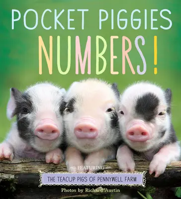 Pocket Piggies Numbers ! Les petits cochons de la ferme Pennywell - Pocket Piggies Numbers!: Featuring the Teacup Pigs of Pennywell Farm