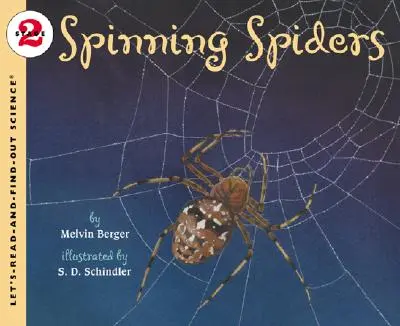 Les araignées filantes - Spinning Spiders